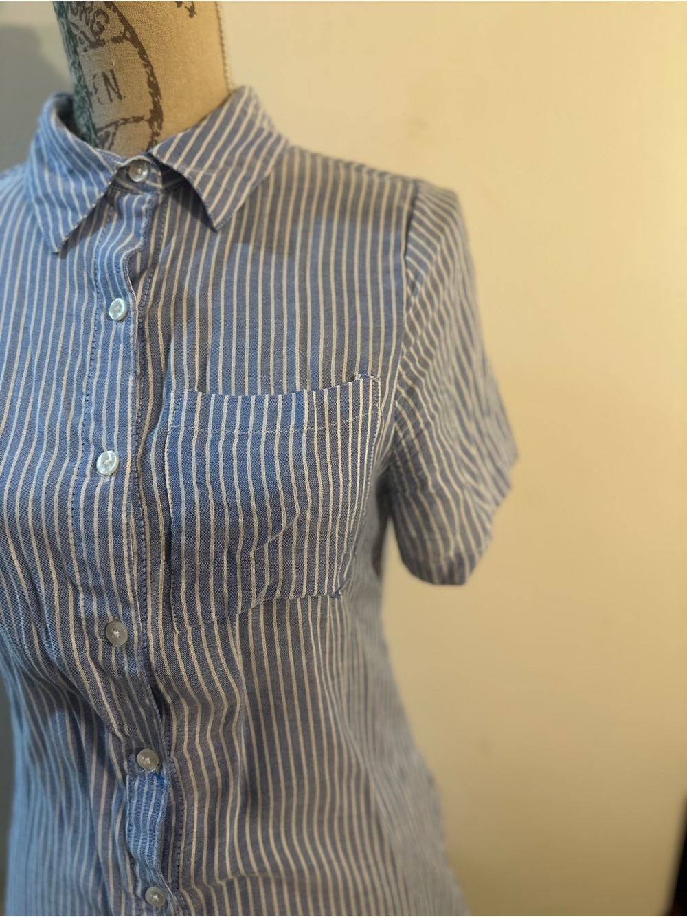 Classic Blue and White Striped Short-Sleeve Button-Down Shirt